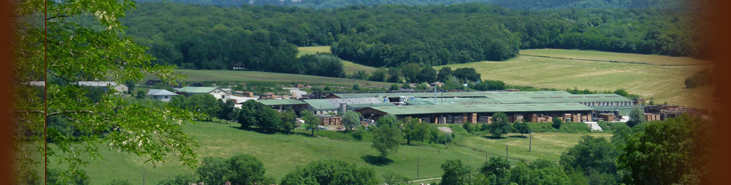 Eurochêne sawmill, View of Site