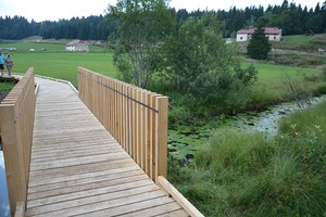 An ecological walk in natural oak